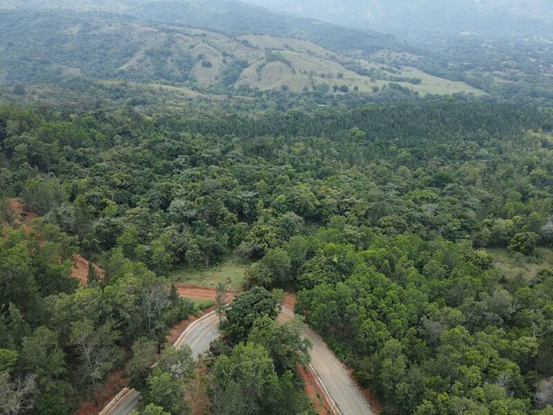Colonial River - Bonao