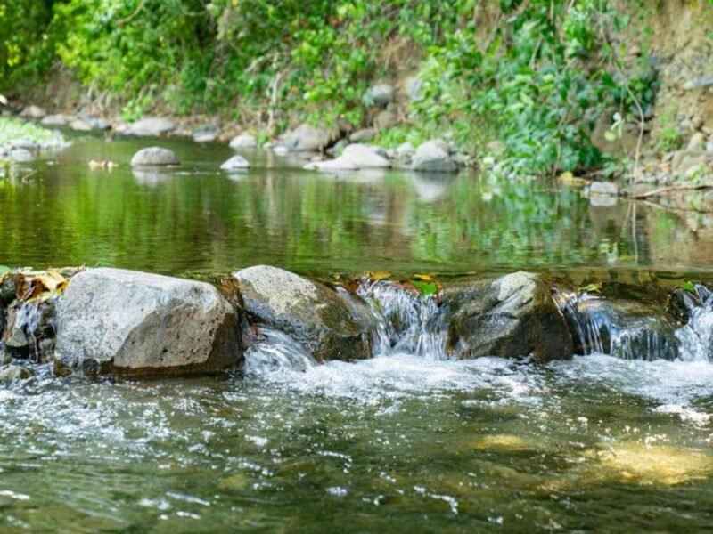 Colonial River - Bonao