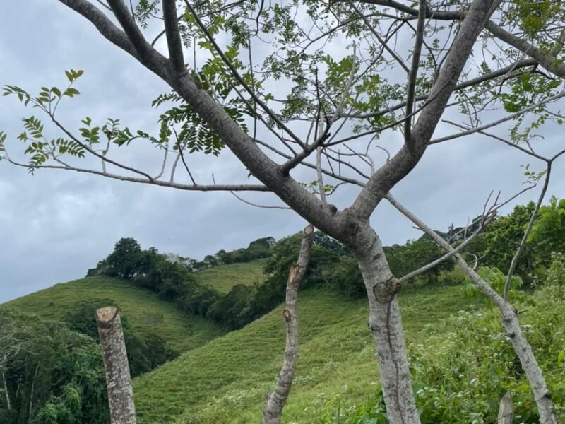 Proyecto Vista Colonial Solares desde $1,000,000 en Piedra Blanca, Bonao